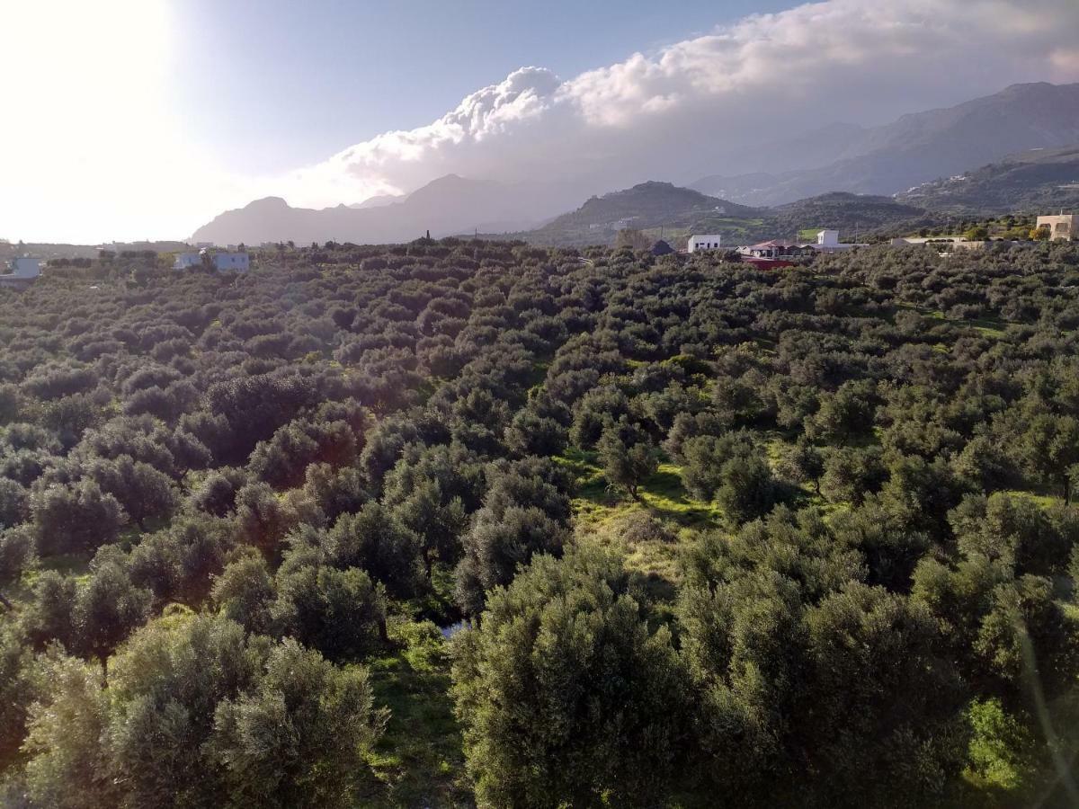 Greek Blue Apartment Plakias Dış mekan fotoğraf