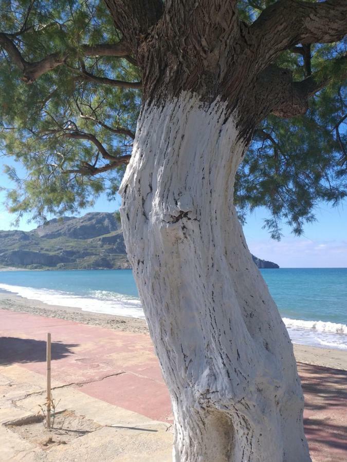 Greek Blue Apartment Plakias Dış mekan fotoğraf